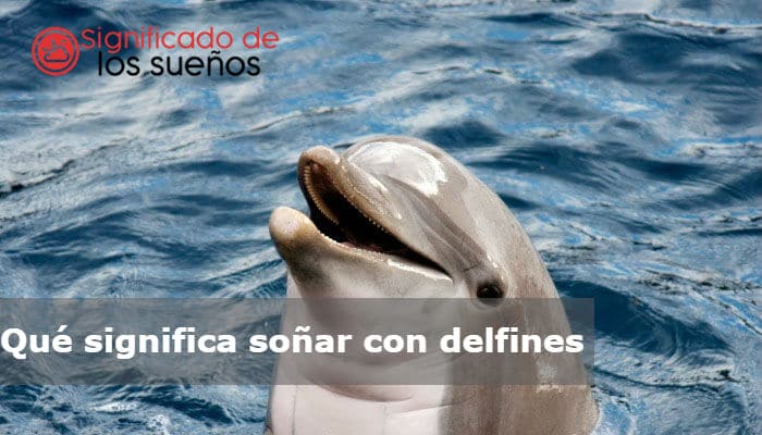 soñar con delfines