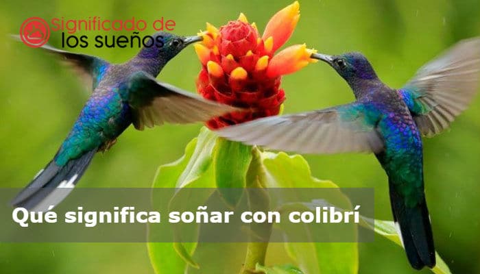 soñar con colibrí